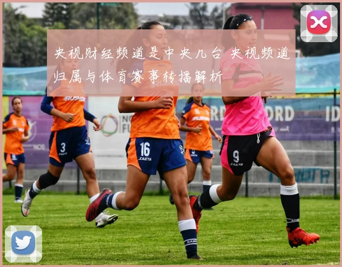 央视财经频道是中央几台 央视频道归属与体育赛事转播解析
