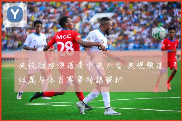央视财经频道是中央几台 央视频道归属与体育赛事转播解析